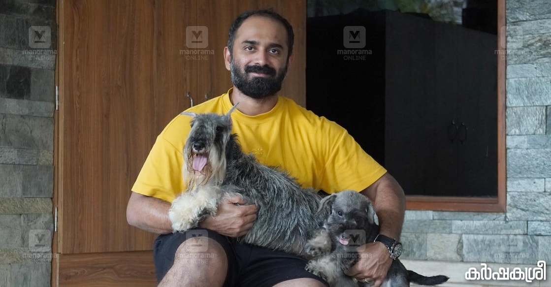 ജിസ്റ്റോ