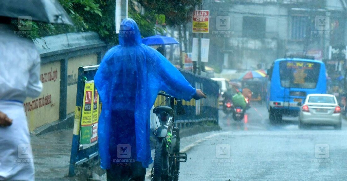 kottayam-rain-views-4 കോട്ടയം ജില്ലയിൽനിന്നുള്ള മഴക്കാഴ്ചകൾ. ചിത്രം : ജിൻസ് മൈക്കിൾ ∙ മനോരമ